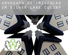 Advogado de imigração em Silver Lake Colony