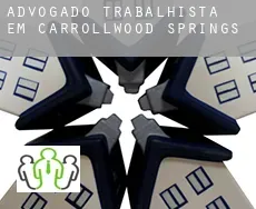 Advogado trabalhista em  Carrollwood Springs