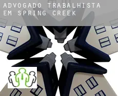 Advogado trabalhista em  Spring Creek