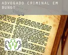 Advogado criminal em  Bungt