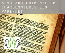 Advogado criminal em  Charbonnières-les-Varennes