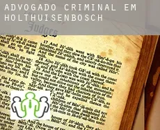 Advogado criminal em  Holthuisenbosch