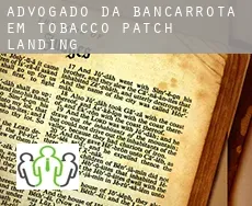 Advogado da bancarrota em  Tobacco Patch Landing