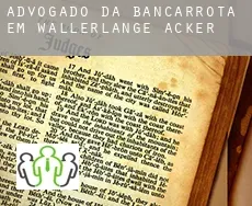 Advogado da bancarrota em  Wallerlange Äcker
