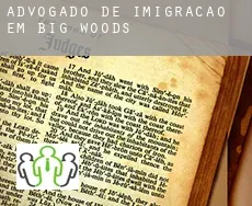 Advogado de imigração em  Big Woods