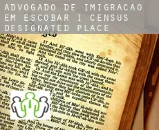 Advogado de imigração em  Escobar I