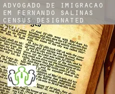 Advogado de imigração em  Fernando Salinas