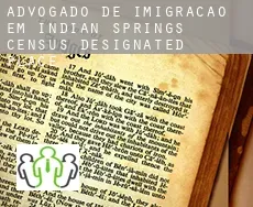 Advogado de imigração em  Indian Springs