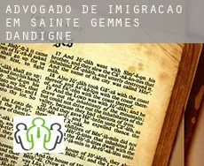 Advogado de imigração em  Sainte-Gemmes-d'Andigné