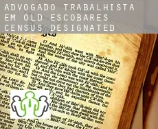 Advogado trabalhista em  Old Escobares