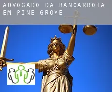 Advogado da bancarrota em  Pine Grove