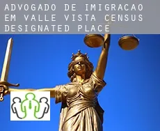 Advogado de imigração em  Valle Vista