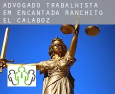 Advogado trabalhista em  Encantada-Ranchito-El Calaboz