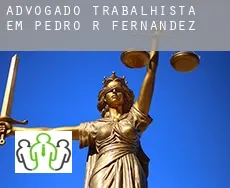 Advogado trabalhista em  Pedro R. Fernández