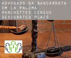 Advogado da bancarrota em  La Paloma Ranchettes