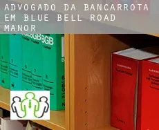 Advogado da bancarrota em  Blue Bell Road Manor