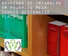 Advogado de imigração em  Pajarito Mesa
