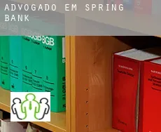 Advogado em  Spring Bank