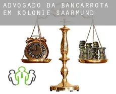 Advogado da bancarrota em  Kolonie Saarmund