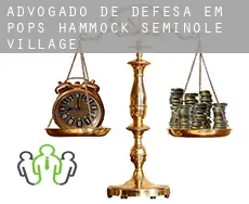 Advogado de defesa em  Pops Hammock Seminole Village