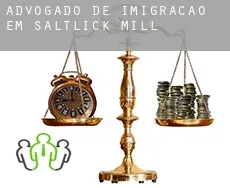 Advogado de imigração em  Saltlick Mill