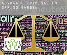 Advogado criminal em Spring Garden