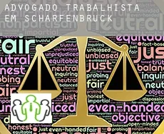 Advogado trabalhista em  Scharfenbrück