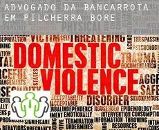 Advogado da bancarrota em  Pilcherra Bore