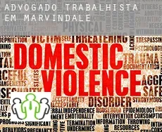 Advogado trabalhista em  Marvindale