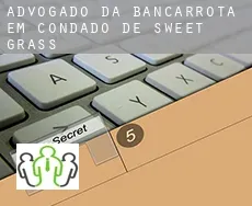 Advogado da bancarrota em  Condado de Sweet Grass