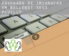 Advogado de imigração em  Bellenot-sous-Pouilly