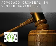 Advogado criminal em  Wüsten-Barenthin