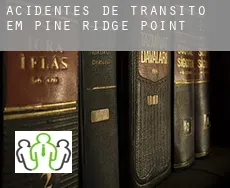 Acidentes de trânsito  em  Pine Ridge Point