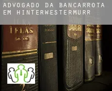 Advogado da bancarrota em  Hinterwestermurr