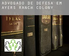Advogado de defesa em  Ayers Ranch Colony