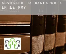 Advogado da bancarrota em  Le Roy