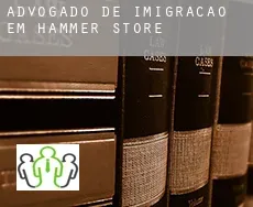 Advogado de imigração em  Hammer Store