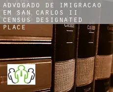 Advogado de imigração em San Carlos II