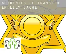 Acidentes de trânsito  em  Lily Cache