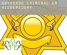 Advogado criminal em  Wiedersdorf