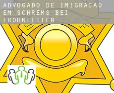 Advogado de imigração em Schrems bei Frohnleiten