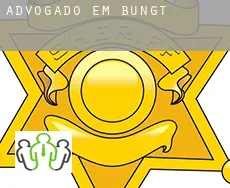 Advogado em  Bungt