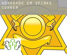 Advogado em  Spinks Corner