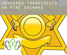 Advogado trabalhista em  Pine Orchard