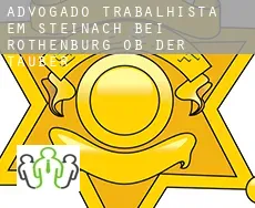 Advogado trabalhista em  Steinach bei Rothenburg ob der Tauber