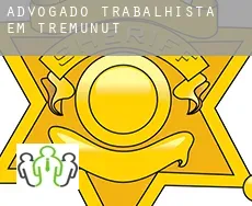 Advogado trabalhista em Trémunut