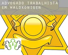 Advogado trabalhista em  Waldkönigen