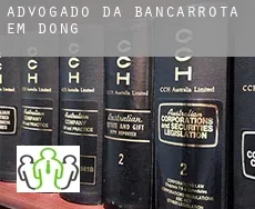 Advogado da bancarrota em  Dong