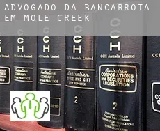 Advogado da bancarrota em  Mole Creek