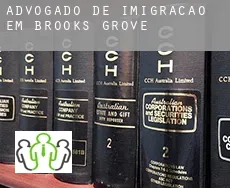 Advogado de imigração em  Brooks Grove